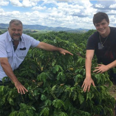 The Otavio family disply the ripening green coffee cherry on what look to be newer plantings of Yellow Catuai at their farm in Serra da Canastra, Brazil. Luis Otavio at right, and his father Jose at left.