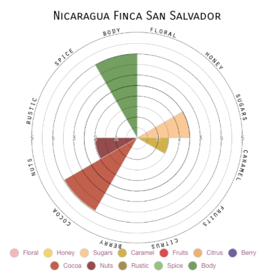 Nicaragua Finca San Salvador