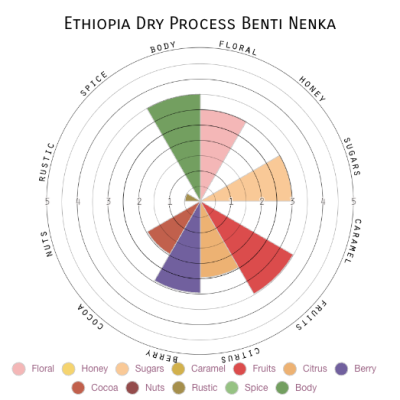 Ethiopia Dry Process Benti Nenka