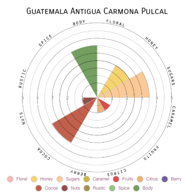 Guatemala Antigua Carmona Pulcal