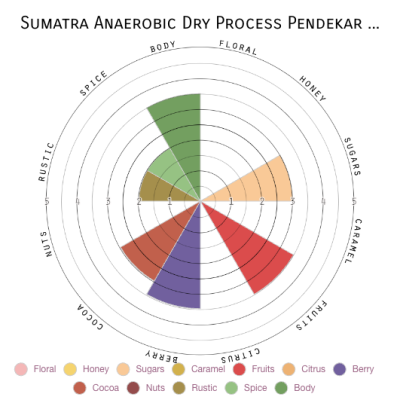 Sumatra Anaerobic Dry Process Pendekar