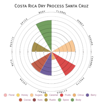 Costa Rica Dry Process Santa Cruz