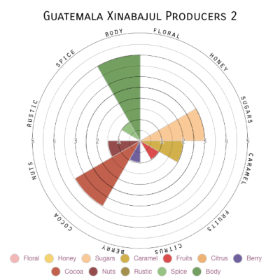 Guatemala Xinabajul Producers 2