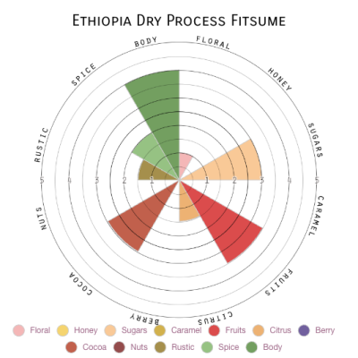 Ethiopia Dry Process Fitsume