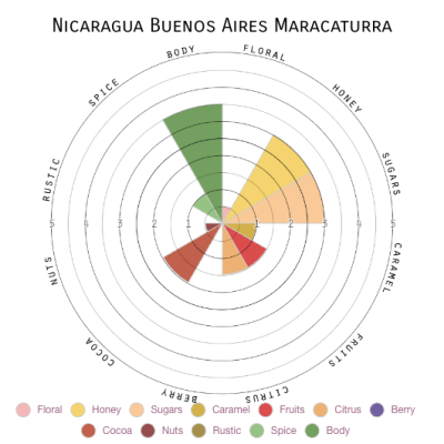 Nicaragua Buenos Aires Maracaturra