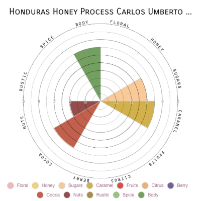 Honduras Honey Process Carlos Umberto