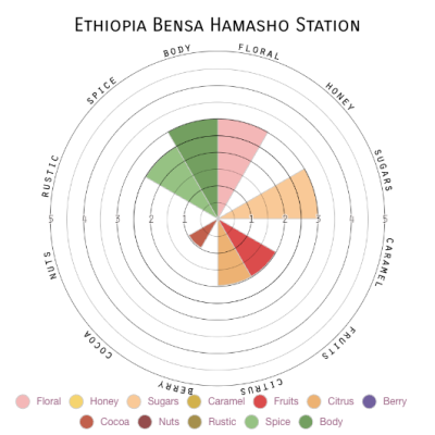 Ethiopia Bensa Hamasho Station