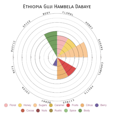 Ethiopia Guji Hambela Dabaye