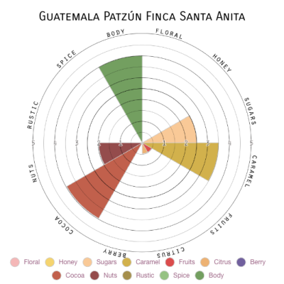 Guatemala Patzún Finca Santa Anita