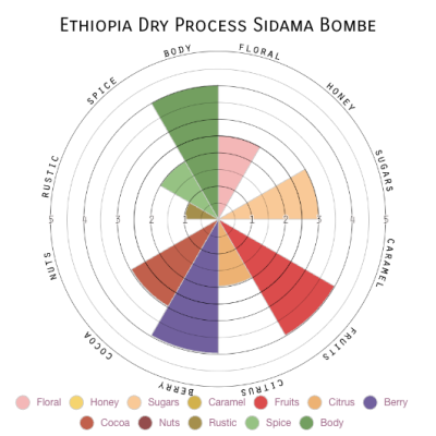 Ethiopia Dry Process Sidama Bombe