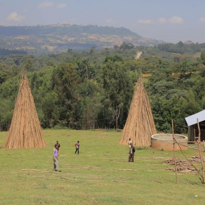 The bamboo frames of the drying beds are stacked in rounds like this to minimize weathering in the off season. Kenisa site.