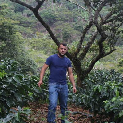 Juan Carlos Sabillon amidst his green coffee farm Los Pimientas in the village of Las Flores, Honduras.