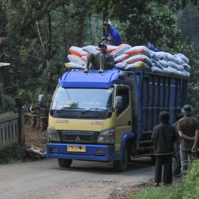 Workers hitch a ride on top of a truck carrying hundreds of bags of coffee cherry that are being delivered to the Tambak Ruyung mill. Java Sunda.