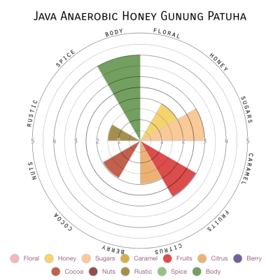 Java Anaerobic Honey Gunung Patuha