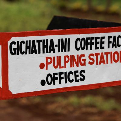 Hand-painted sign at the Gichathaini coffee factory pointing the way to the pulping station where the coffee cherry is removed from the green seeds. Nyeri, Kenya.