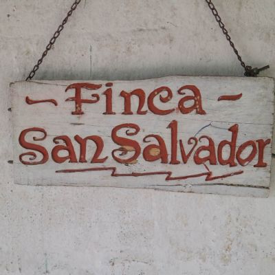 The hand painted white wooden sign with red lettering reads "Finca San Salvador" at the green coffee farm. Jinotega, Nicaragua.