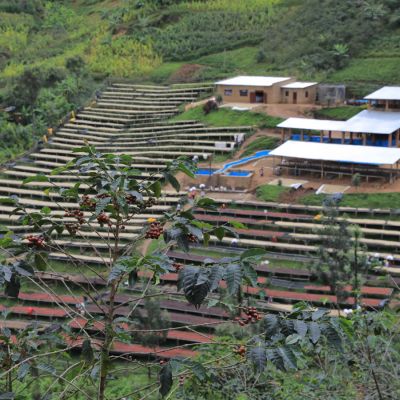 The colorful array of both wet and dry processed green coffee laid to dry on raised beds that mark the hillside at the Gitwe farmer's washing station in Nyamasheke, Rwanda.