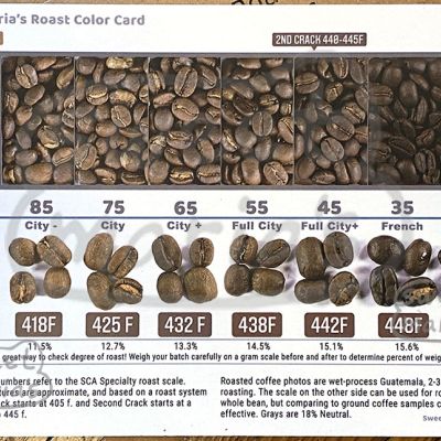 Roasted Coffee Color Card