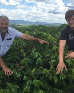 The Otavio family disply the ripening green coffee cherry on what look to be newer plantings of Yellow Catuai at their farm in Serra da Canastra, Brazil. Luis Otavio at right, and his father Jose at left.