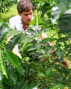 Diego Guardia in the field of his family farm and green coffee micro mill, Hacienda Sonora, in the Central Valley, Costa Rica.