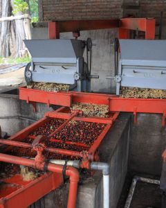 The two depulpers at Pulcal process coffee cherry down to the green coffee seeds quickly during the harvest peak in Antigua, Guatemala.