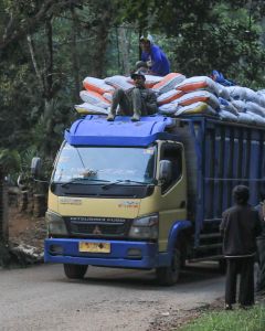 Workers hitch a ride on top of a truck carrying hundreds of bags of coffee cherry that are being delivered to the Tambak Ruyung mill. Java Sunda.