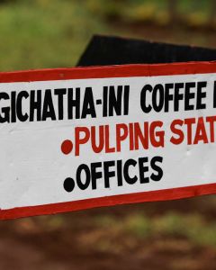 Hand-painted sign at the Gichathaini coffee factory pointing the way to the pulping station where the coffee cherry is removed from the green seeds. Nyeri, Kenya.
