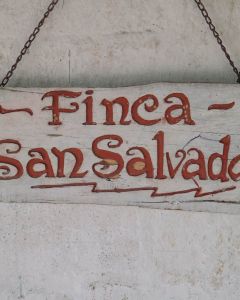 The hand painted white wooden sign with red lettering reads "Finca San Salvador" at the green coffee farm. Jinotega, Nicaragua.
