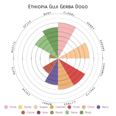 Ethiopia Guji Gerba Dogo