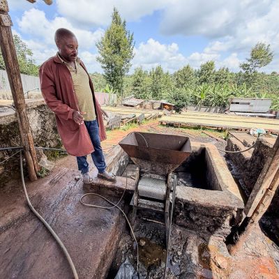 Farm manager Moses surveys the small pulper used at Spike, and coffee dries on raised beds in the background. Kiambu, Kenya.