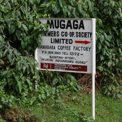 The sign pointing the way to Kiamabara Coffee Factory, where whole cherry from the surrounding farmers and cooperative members is processed down to green coffee. Karatina, Nyeri County, Kenya.