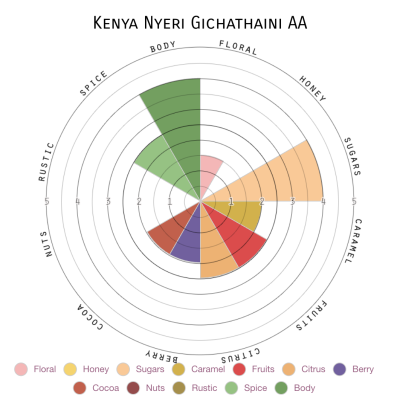 Kenya Nyeri Gichathaini AA