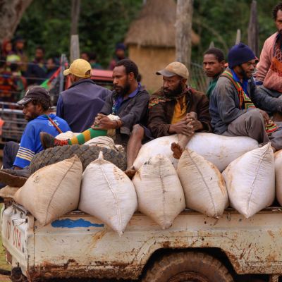Workers deliver their harvested coffee cherries by truck in Baroida, Eastern Highlands.