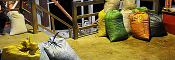Photo of filled coffee bags on the ground