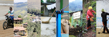 Vertical collage with photos of coffee farms and coffee farmers